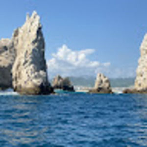 Meet your Posher, Irene